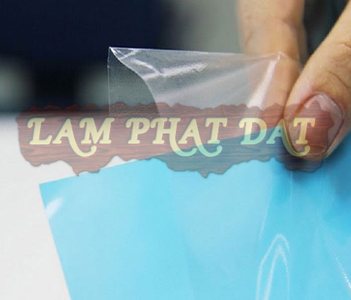 Bìa lỗ A4 xấp 100 cái giúp lưu trữ dễ dàng