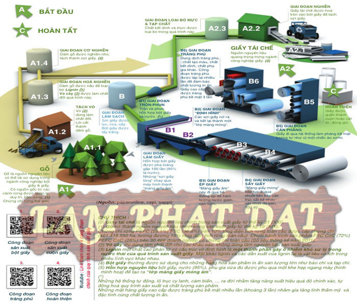 Quy trình sản xuất giấy