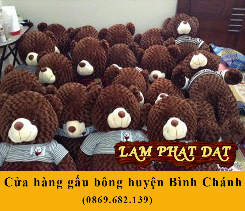 Cửa Hàng Gấu Bông Huyện Bình Chánh