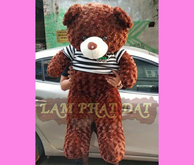 Cửa Hàng Gấu Teddy Nâu Socola 1M6