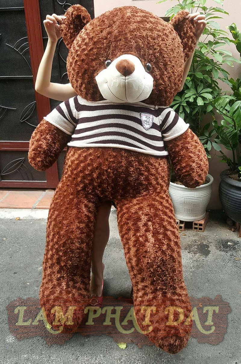 Chú gấu teddy khổng lồ nhưng lại vô cùng dễ thương