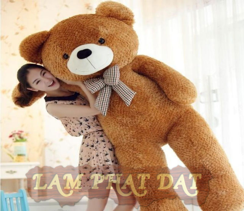 Gấu bông Teddy size lớn