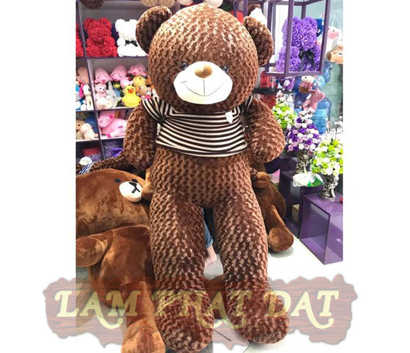 Gấu teddy choco mặc áo len