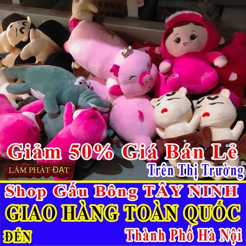 Shop Gấu Bông Bán Lẻ Giảm 50% FREESHIP Toàn Quốc Đến Thành Phố Hà Nội