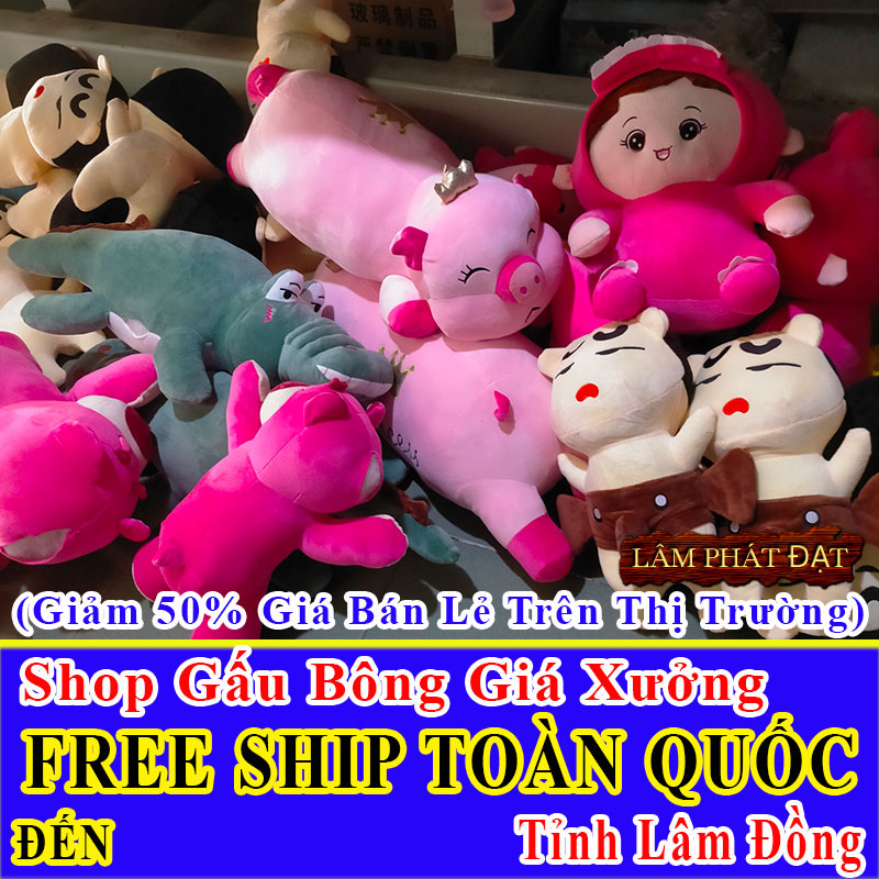 Shop Gấu Bông Online FreeShip Toàn Quốc Đến Tỉnh Lâm Đồng