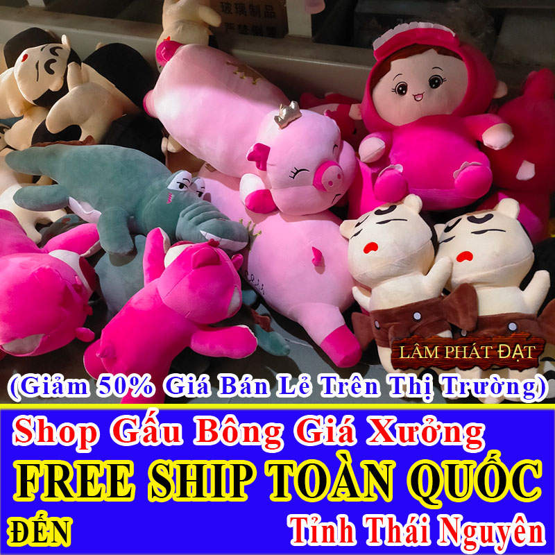 Shop Gấu Bông Online FreeShip Toàn Quốc Đến Tỉnh Thái Nguyên