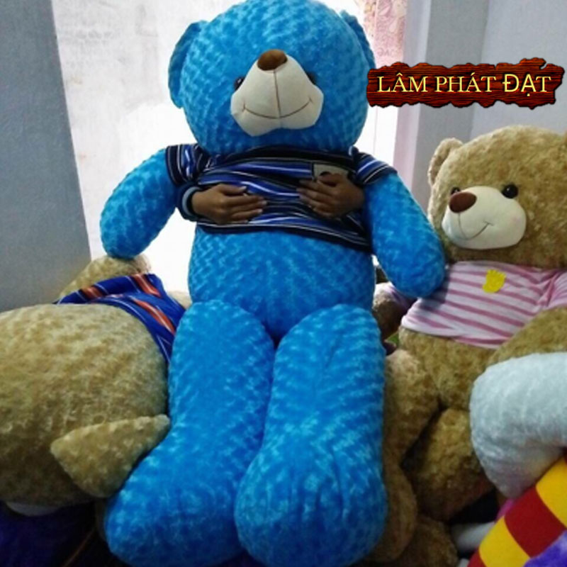 Gấu Teddy Màu Xanh Tặng Người Yêu Nên Mua Nhất Tại Sao?