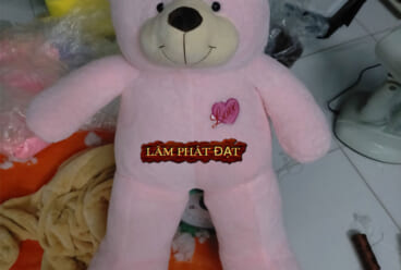 Gấu Teddy Thêu Tim Love
