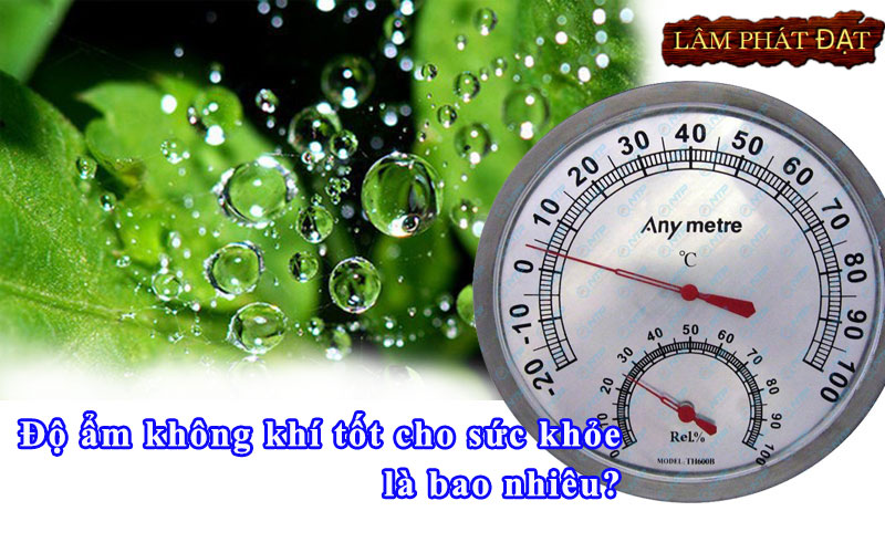 Mức độ ẩm không khí tốt cho sức khỏe mọi người là bao nhiêu?