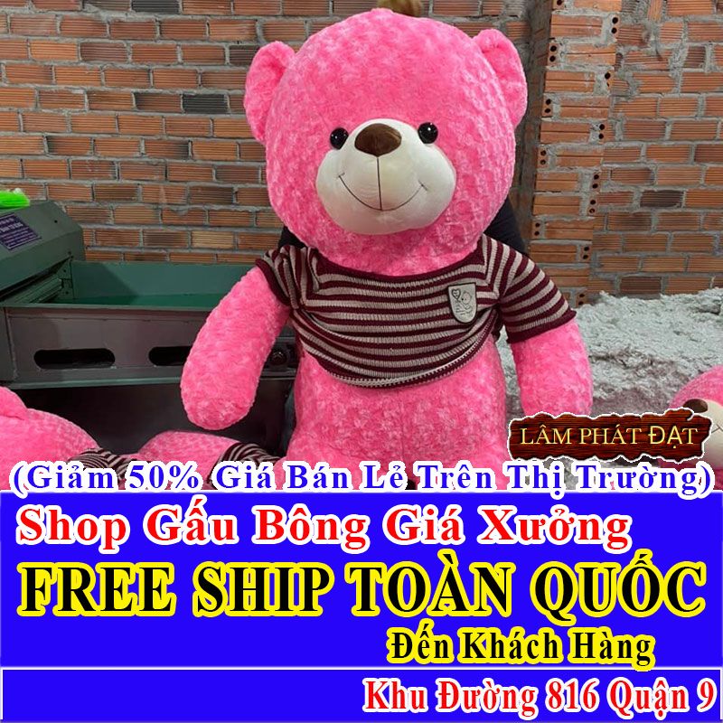 Shop Gấu Bông Giảm Giá 50% FREESHIP Toàn Quốc Đến Đường 816 Q9