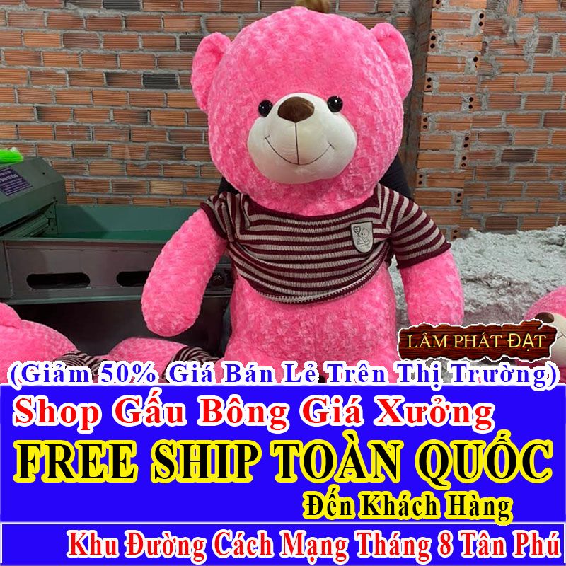 Shop Gấu Bông FreeShip Toàn Quốc Đến Đường Cách Mạng Tháng 8 Tân Phú