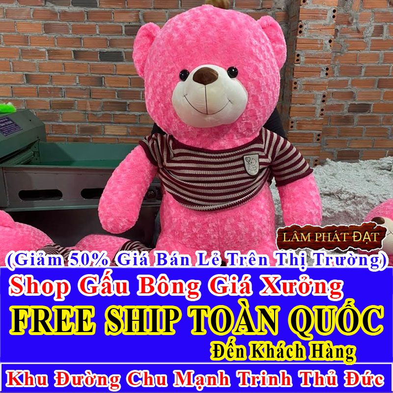 Shop Gấu Bông FreeShip Toàn Quốc Đến Đường Chu Mạnh Trinh Thủ Đức