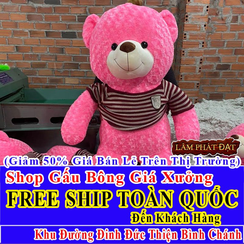 Shop Gấu Bông FreeShip Toàn Quốc Đến Đường Đinh Đức Thiện Bình Chánh