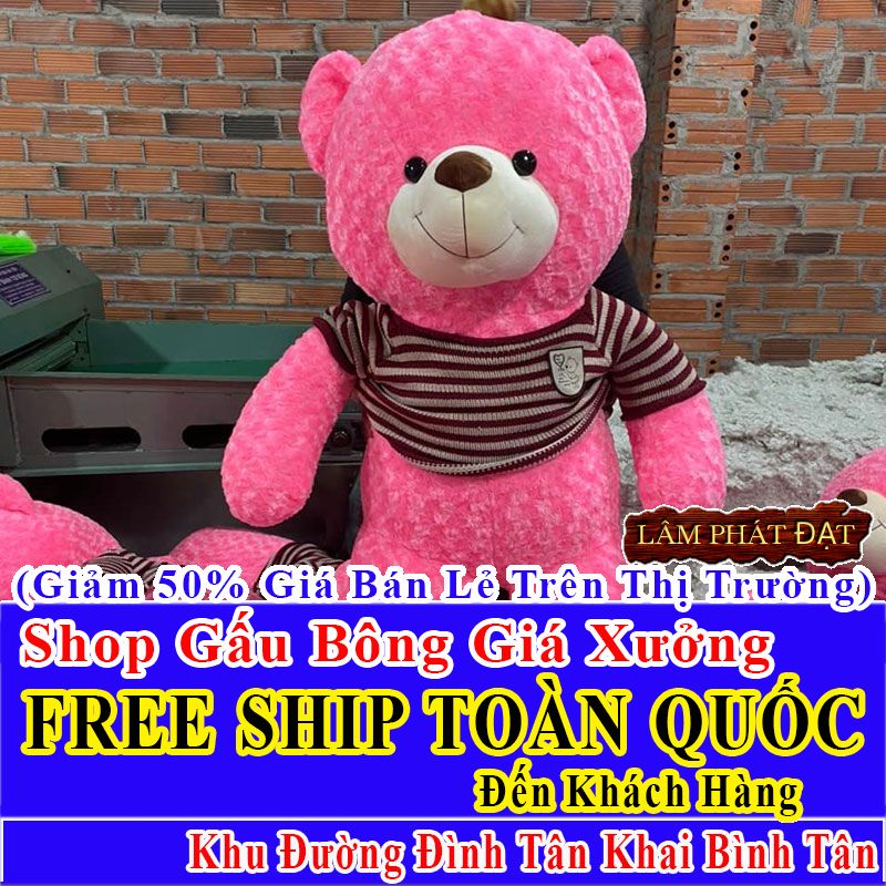 Shop Gấu Bông FreeShip Toàn Quốc Đến Đường Đình Tân Khai Bình Tân