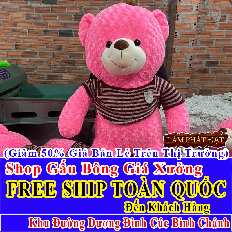 Shop Gấu Bông FreeShip Toàn Quốc Đến Đường Dương Đình Cúc Bình Chánh