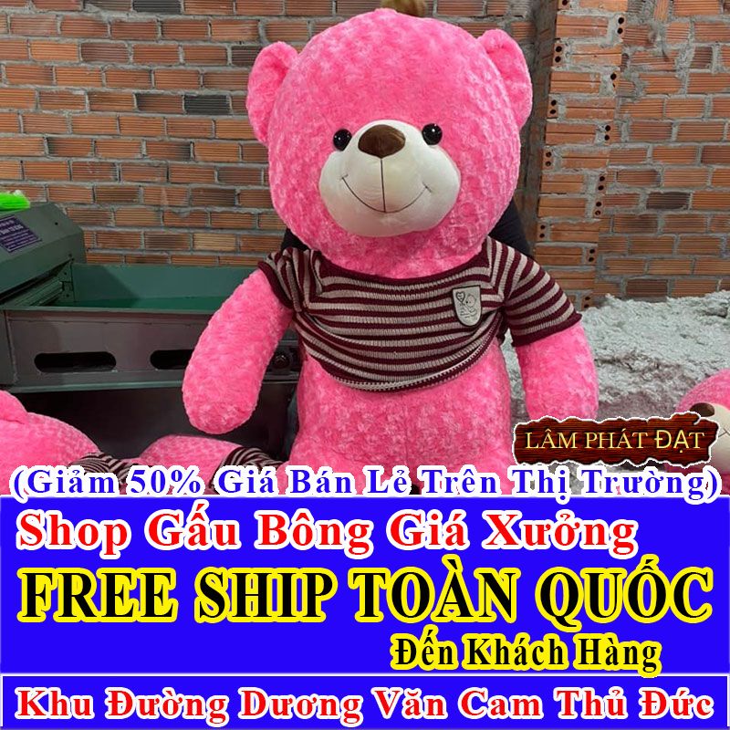 Shop Gấu Bông FreeShip Toàn Quốc Đến Đường Dương Văn Cam Thủ Đức