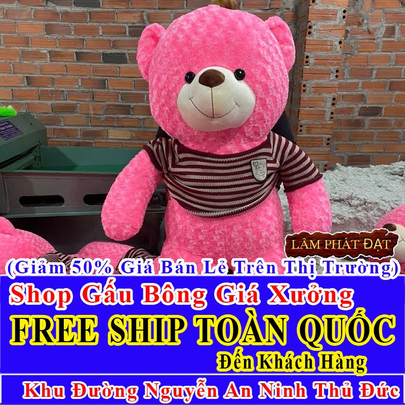 Shop Gấu Bông FreeShip Toàn Quốc Đến Đường Nguyễn An Ninh Thủ Đức