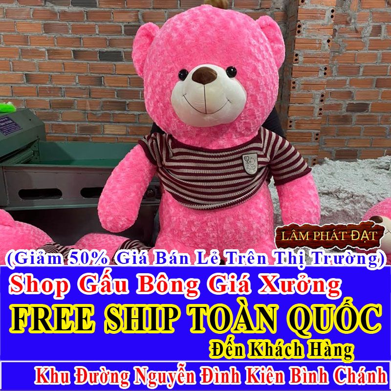 Shop Gấu Bông FreeShip Toàn Quốc Đến Đường Nguyễn Đình Kiên Bình Chánh