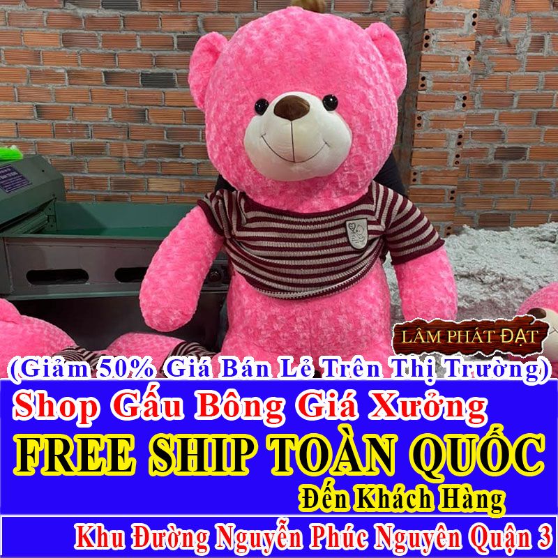Shop Gấu Bông Giảm Giá 50% FREESHIP Toàn Quốc Đến Đường Nguyễn Phúc Nguyên Q3