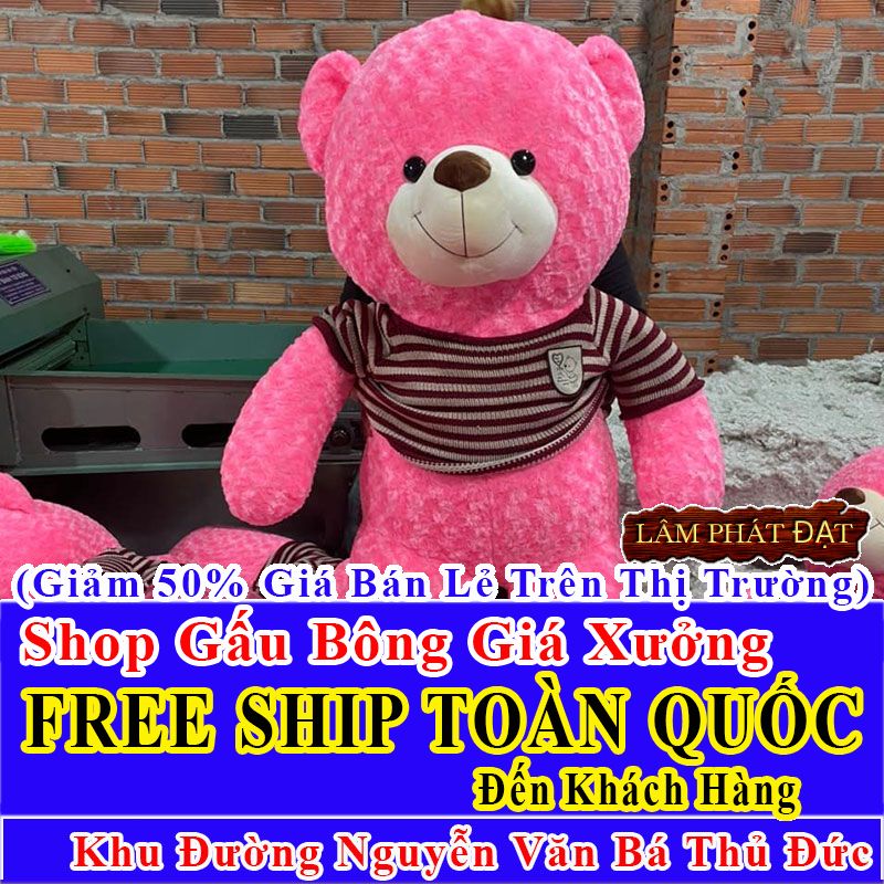 Shop Gấu Bông FreeShip Toàn Quốc Đến Đường Nguyễn Văn Bá Thủ Đức