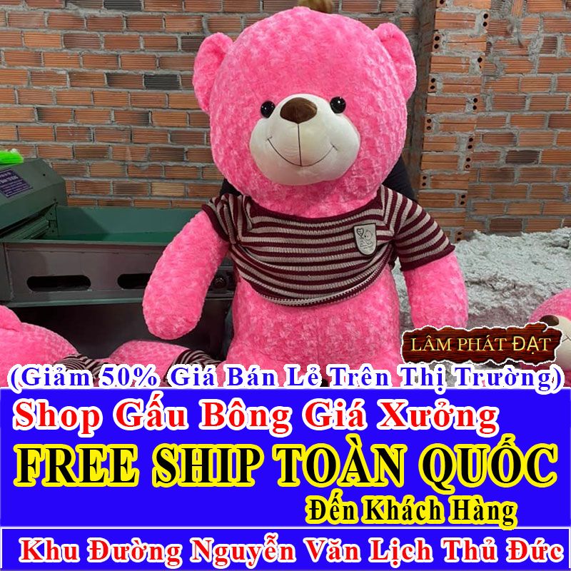 Shop Gấu Bông FreeShip Toàn Quốc Đến Đường Nguyễn Văn Lịch Thủ Đức