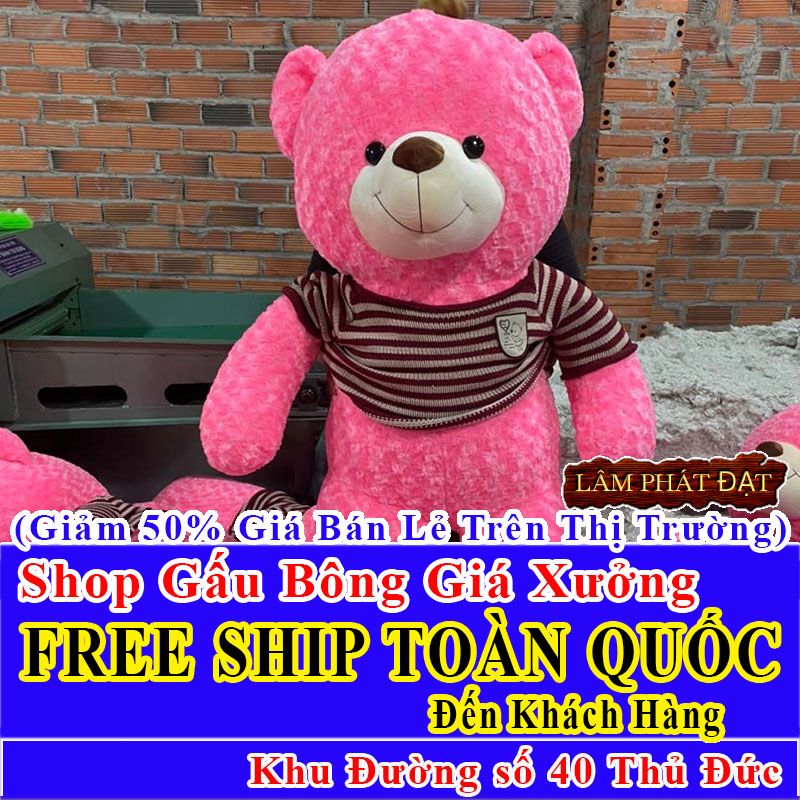 Shop Gấu Bông FreeShip Toàn Quốc Đến Đường số 40 Thủ Đức