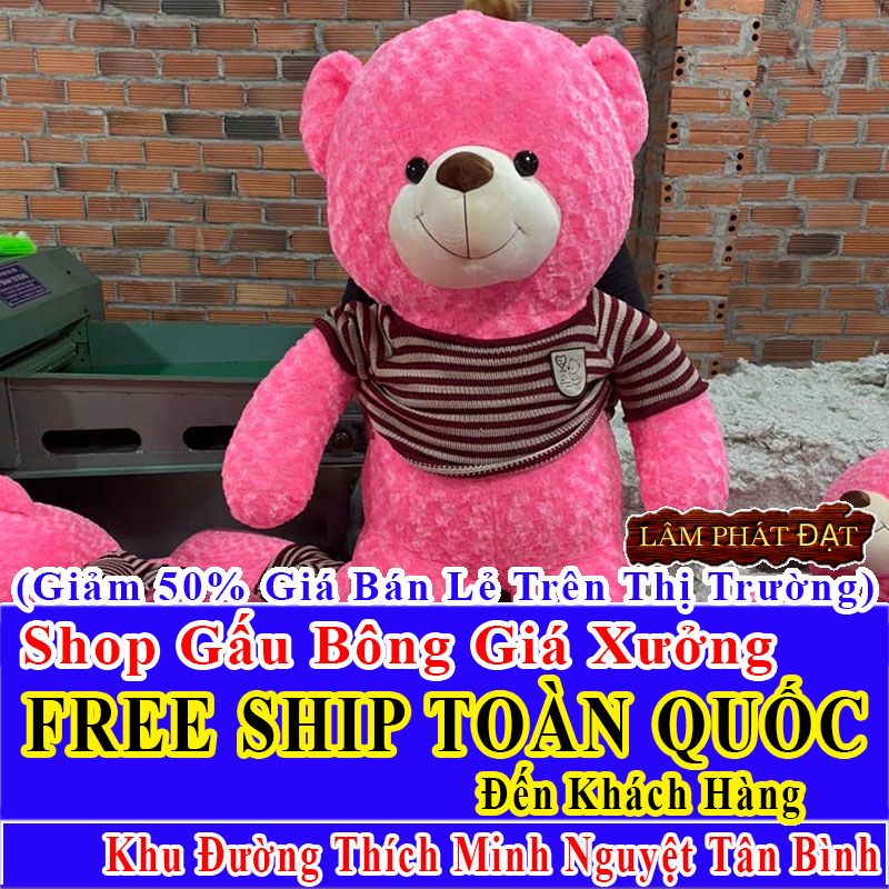 Shop Gấu Bông FreeShip Toàn Quốc Đến Đường Thích Minh Nguyệt Tân Bình