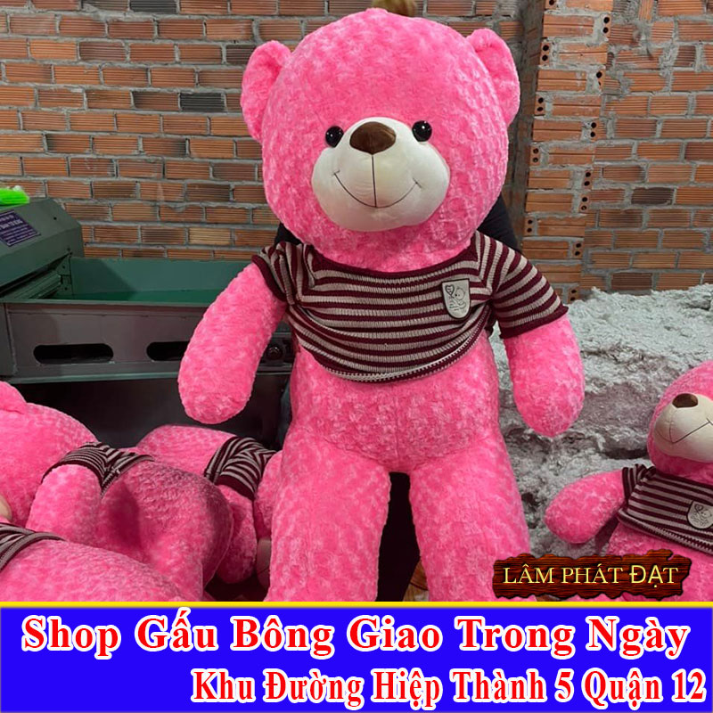 Shop Gấu Bông Giao Trong Ngày Khu Đường Hiệp Thành 5 Q12