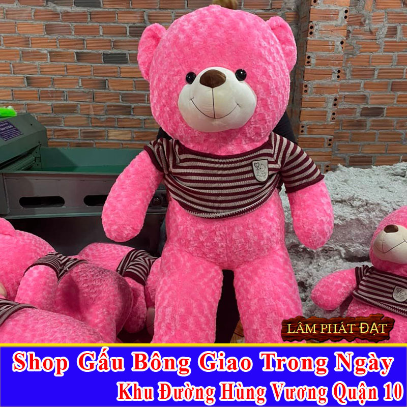 Shop Gấu Bông Giao Trong Ngày Khu Đường Hùng Vương Q10