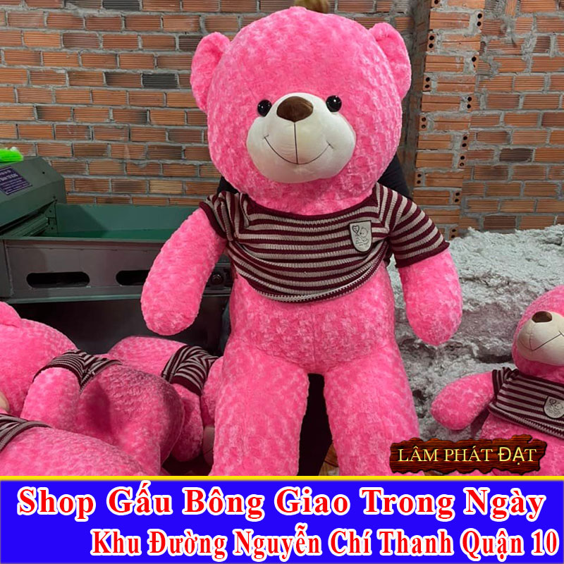 Shop Gấu Bông Giao Trong Ngày Đường Nguyễn Chí Thanh Q10