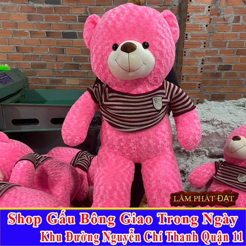 Shop Gấu Bông Giao Trong Ngày Đường Nguyễn Chí Thanh Q11