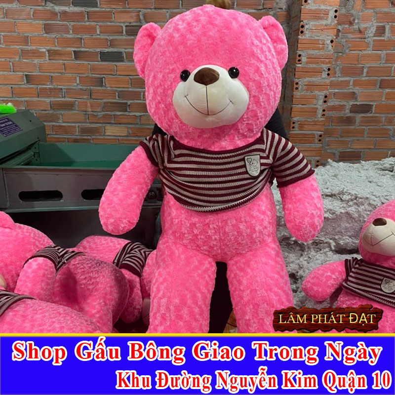 Shop Gấu Bông Giao Trong Ngày Khu Đường Nguyễn Kim Q10