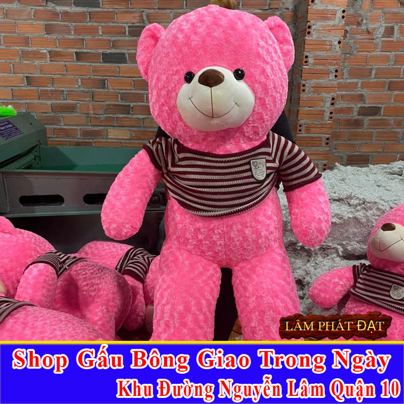 Shop Gấu Bông Giao Trong Ngày Khu Đường Nguyễn Lâm Q10