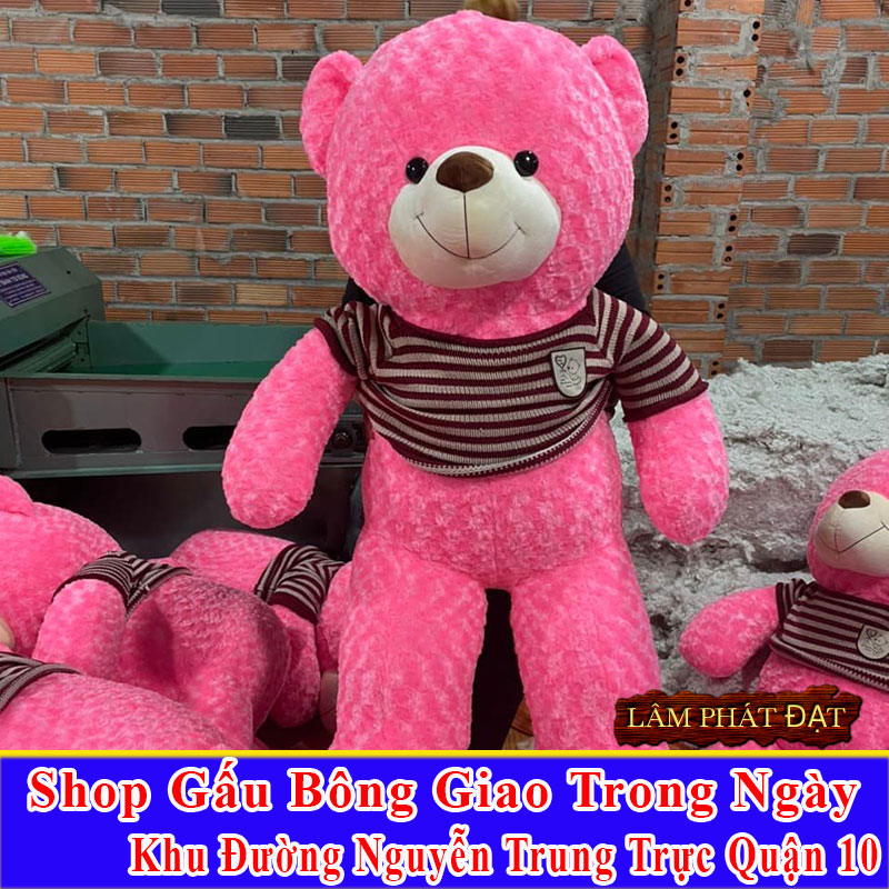 Shop Gấu Bông Giao Trong Ngày Đường Nguyễn Trung Trực Q10