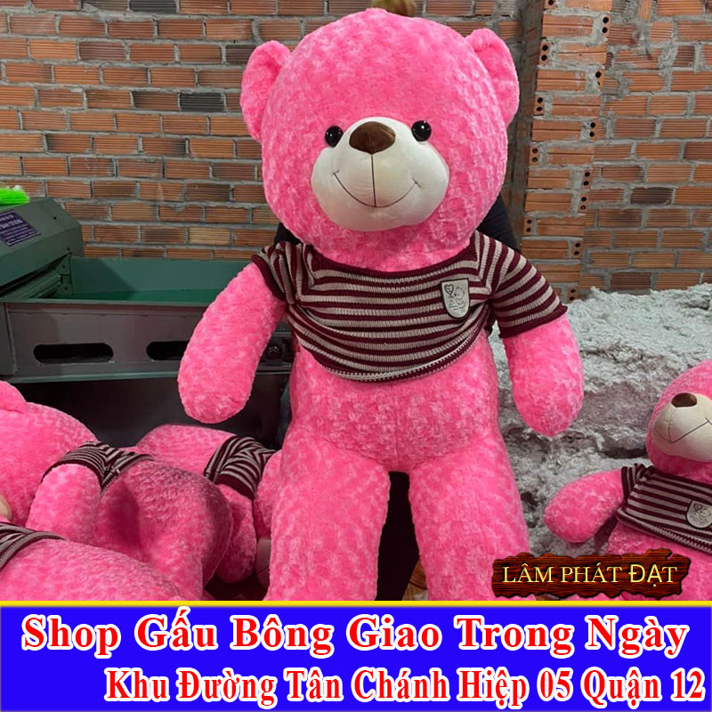 Shop Gấu Bông Giao Trong Ngày Đường Tân Chánh Hiệp 05 Q12