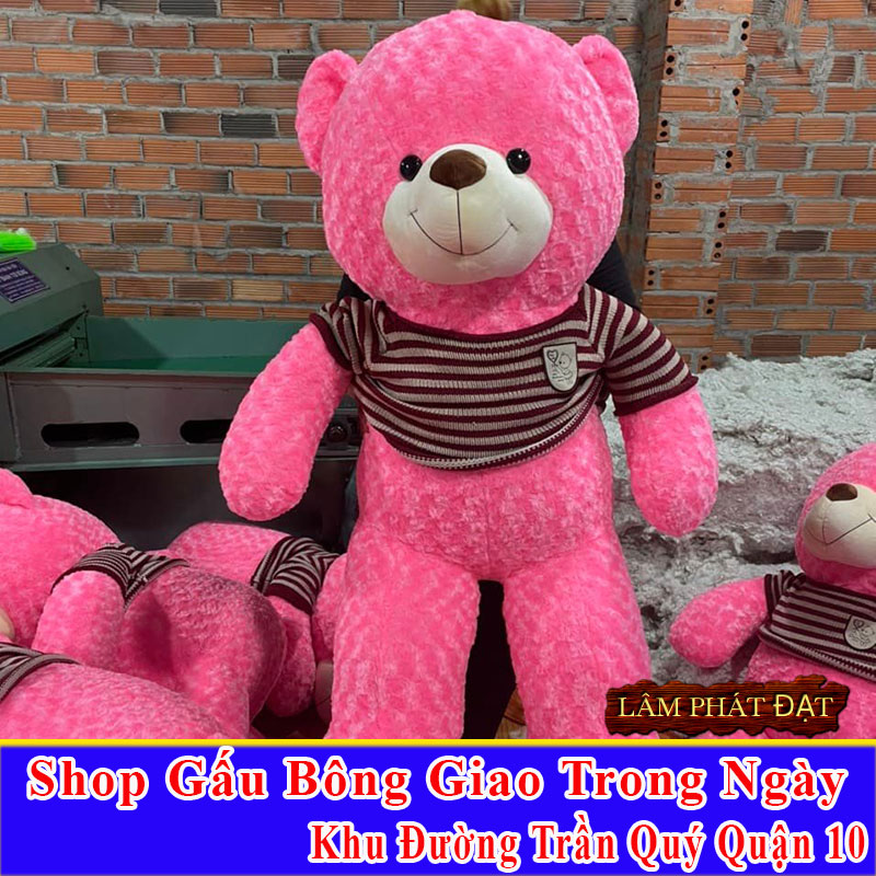 Shop Gấu Bông Giao Trong Ngày Khu Đường Trần Quý Q10