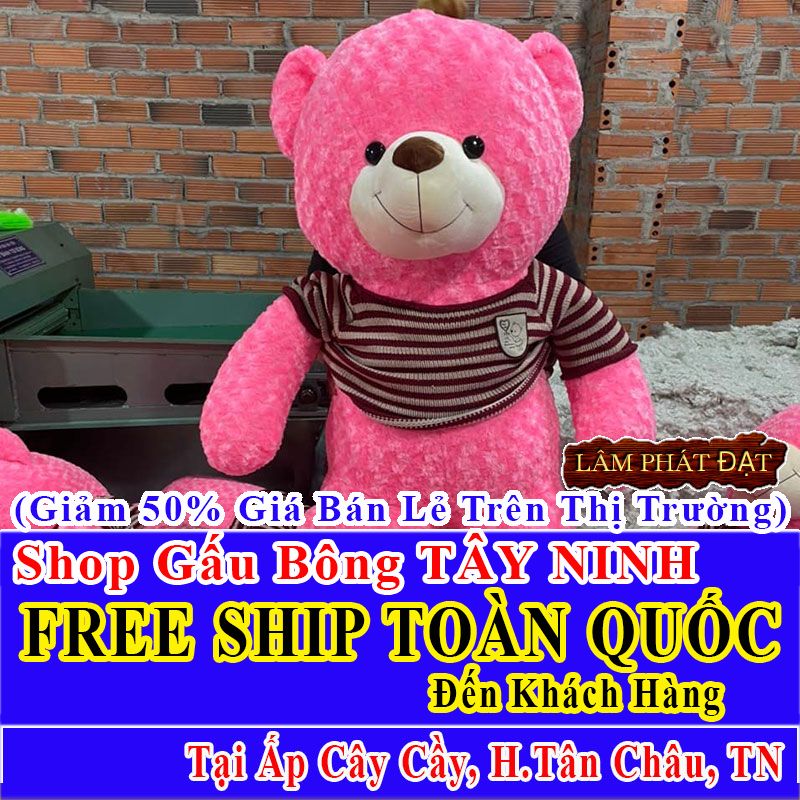 Shop Gấu Bông Giảm Giá 50% FREESHIP Giao Trong Ngày Khu Ấp Cây Cầy