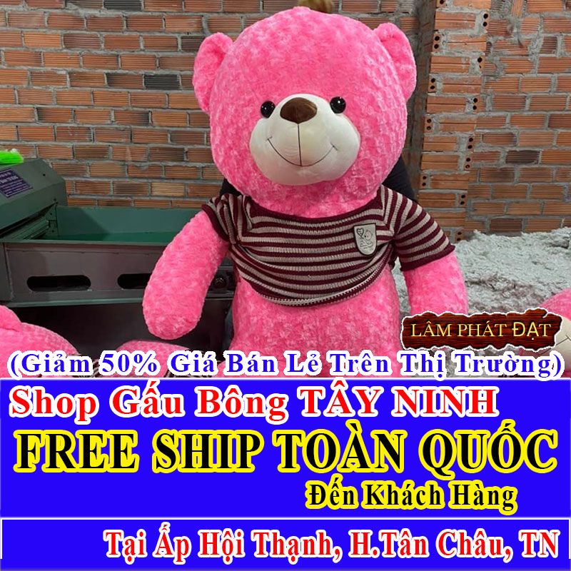 Shop Gấu Bông Ấp Hội Thạnh Giá Chỉ Bằng 50% Thị Trường