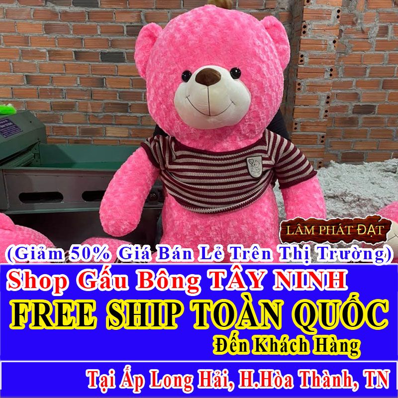 Shop Gấu Bông Giảm Giá 50% FREESHIP Giao Trong Ngày Khu Ấp Long Hải