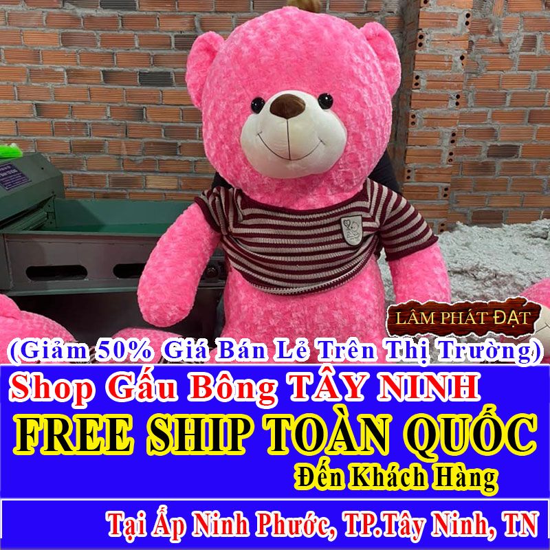 Shop Gấu Bông Giảm Giá 50% FREESHIP Giao Trong Ngày Khu Ấp Ninh Phước