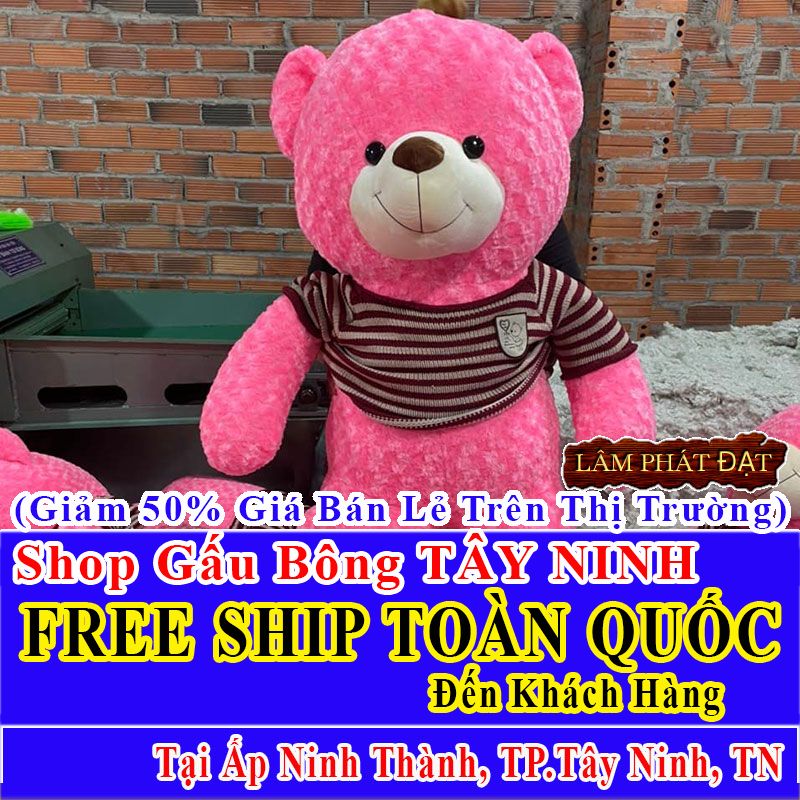 Shop Gấu Bông Giảm Giá 50% FREESHIP Giao Trong Ngày Khu Ấp Ninh Thành