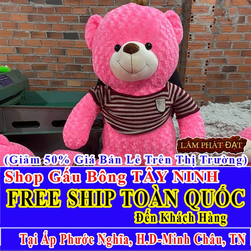 Shop Gấu Bông Giảm Giá 50% FREESHIP Giao Trong Ngày Khu Ấp Phước Nghĩa