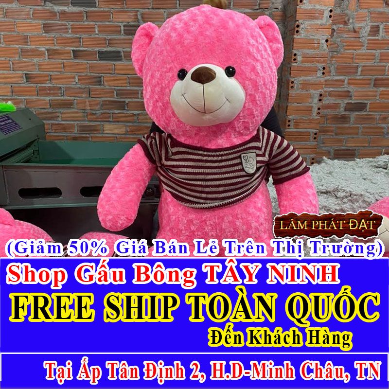 Shop Gấu Bông Giảm Giá 50% FREESHIP Giao Trong Ngày Khu Ấp Tân Định 2