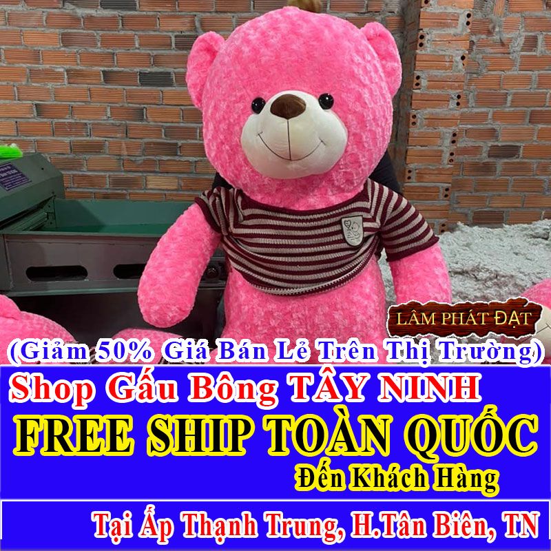 Shop Gấu Bông Giảm Giá 50% FREESHIP Giao Trong Ngày Khu Ấp Thạnh Trung Thạnh Tây