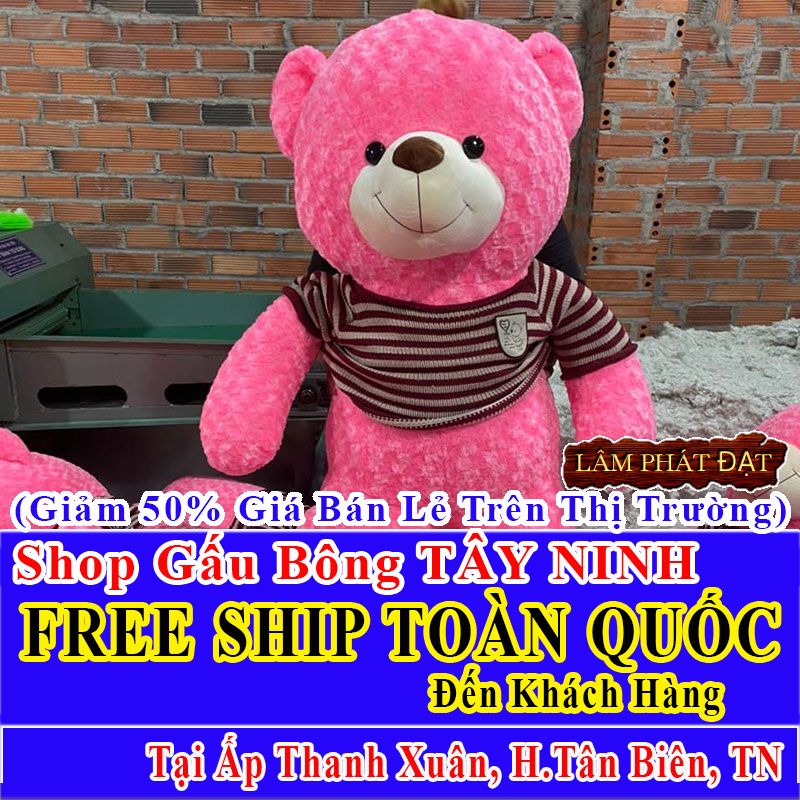 Shop Gấu Bông Giảm Giá 50% FREESHIP Giao Trong Ngày Khu Ấp Thanh Xuân