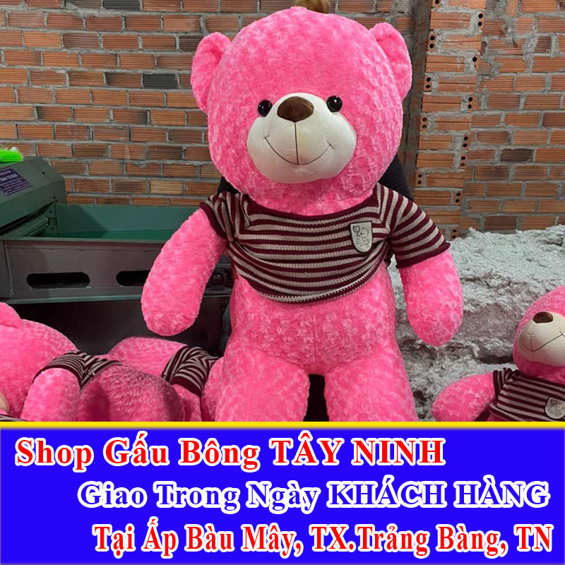 Shop Gấu Bông Giao Trong Ngày Cho Khách Tại Ấp Bàu Mây