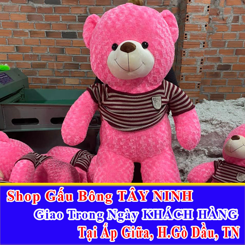 Shop Gấu Bông Giao Trong Ngày Cho Khách Hàng Tại Ấp Giữa