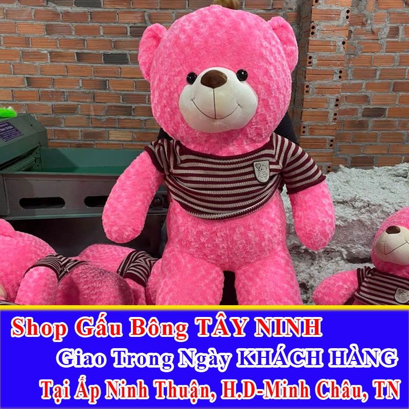 Shop Gấu Bông Giao Trong Ngày Cho Khách Tại Ấp Ninh Thuận