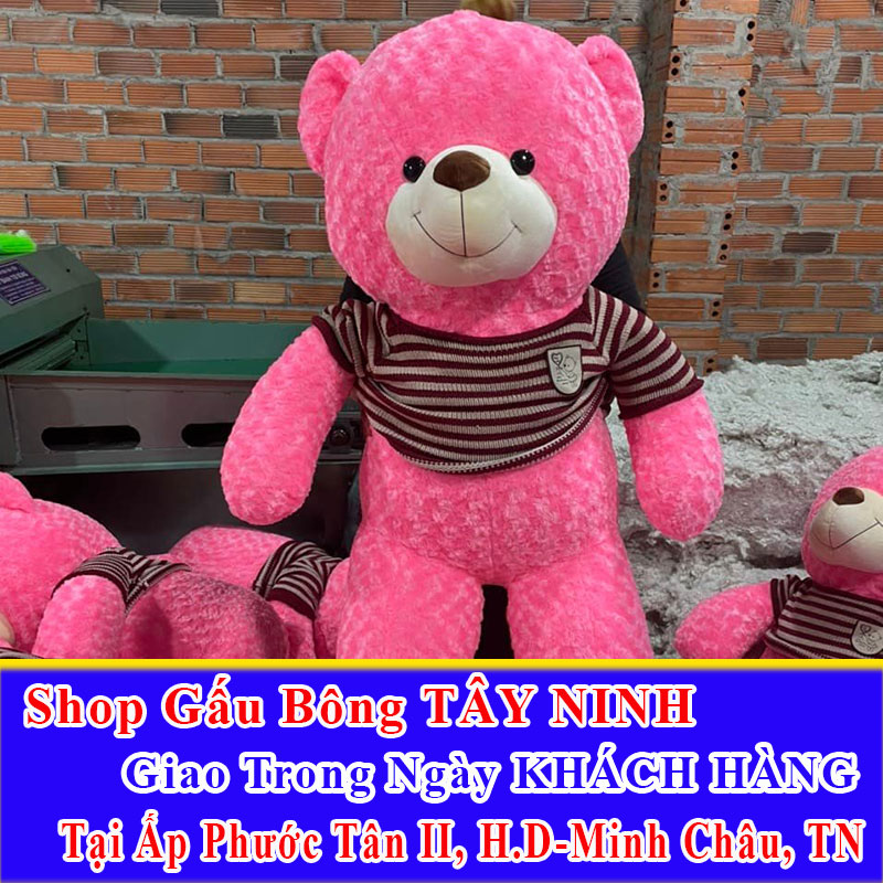 Shop Gấu Bông Giao Trong Ngày Cho Khách Tại Ấp Phước Tân II