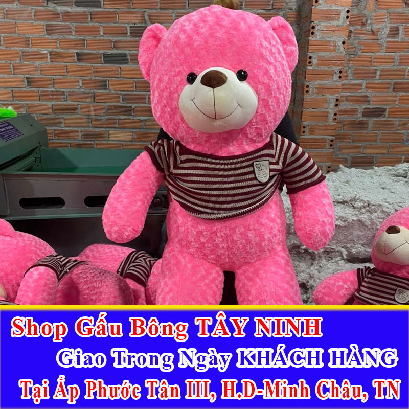Shop Gấu Bông Giao Trong Ngày Cho Khách Tại Ấp Phước Tân III